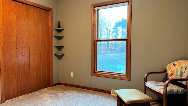 sitting room featuring carpet