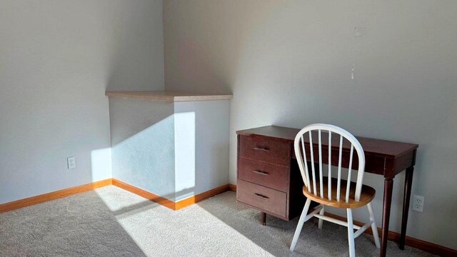 home office featuring light colored carpet