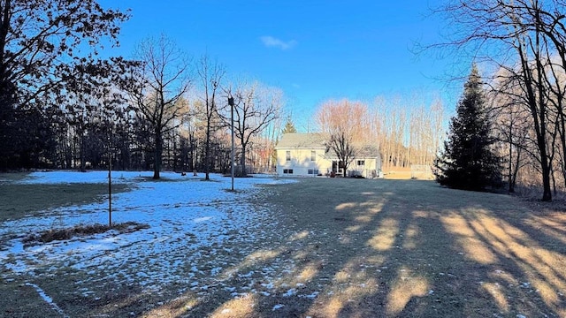 view of yard covered in snow