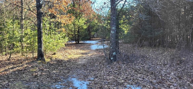 view of local wilderness featuring a water view