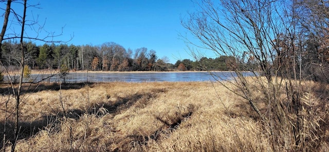 view of water feature