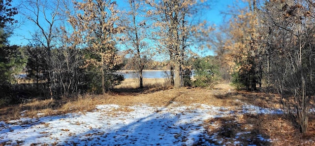 snowy landscape with a water view