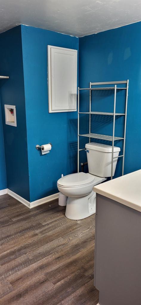 bathroom with wood-type flooring, toilet, and vanity