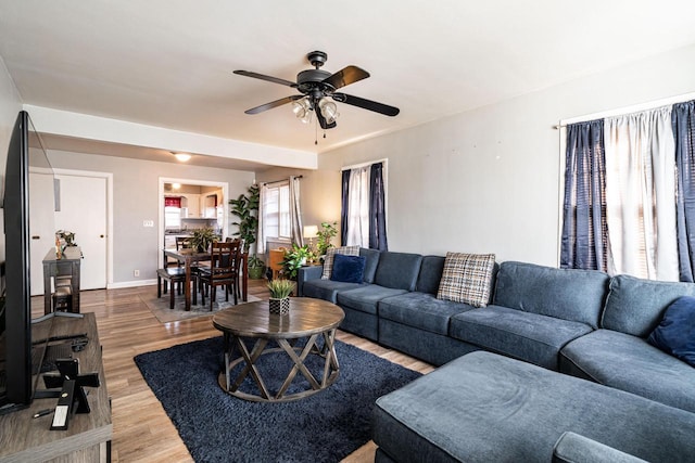 living room with ceiling fan and wood-type flooring