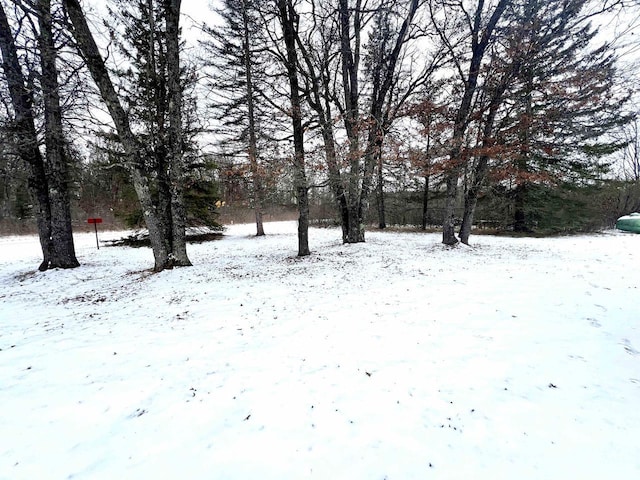 view of yard covered in snow