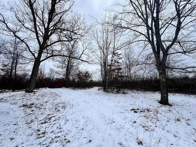 view of yard covered in snow