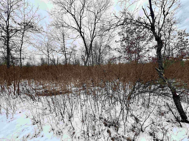 view of snow covered land