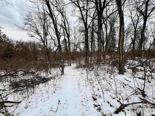 view of snow covered land