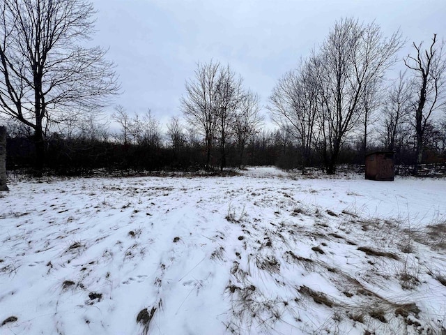 view of yard layered in snow