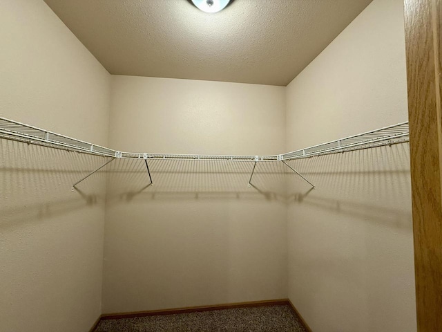 spacious closet with carpet flooring