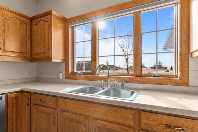 kitchen with a wealth of natural light, stainless steel dishwasher, and sink