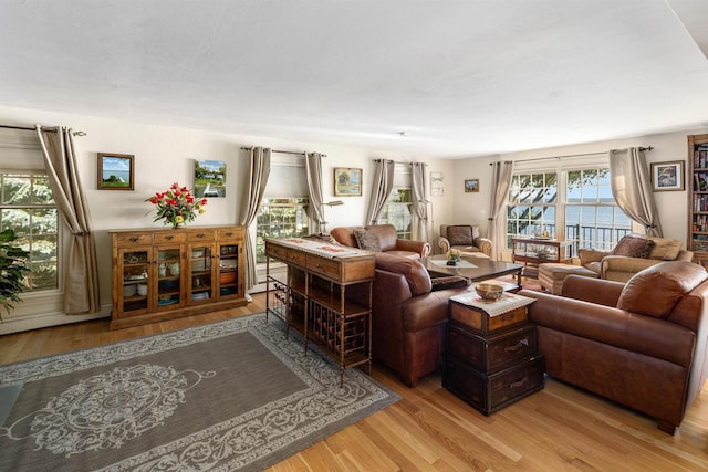 living room featuring light wood-type flooring and a water view