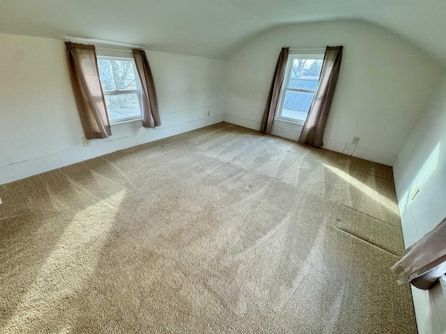 additional living space with plenty of natural light, light colored carpet, and vaulted ceiling