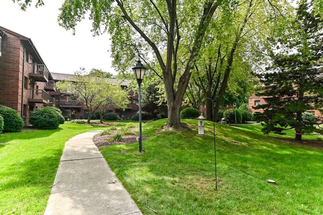 view of home's community with a lawn