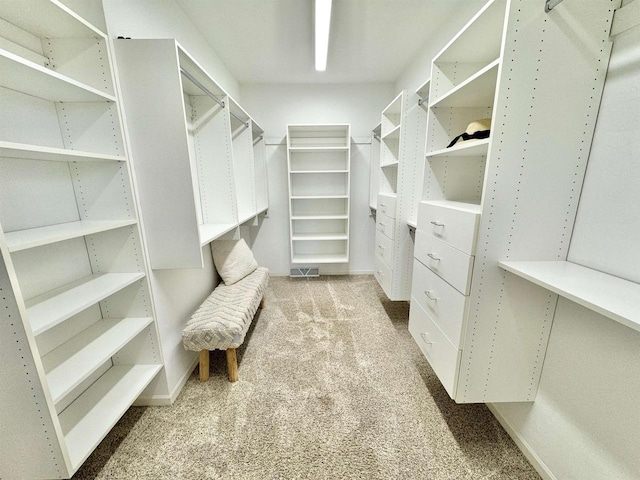 walk in closet featuring light carpet