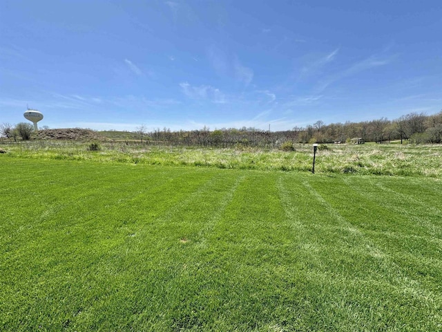 view of yard featuring a rural view