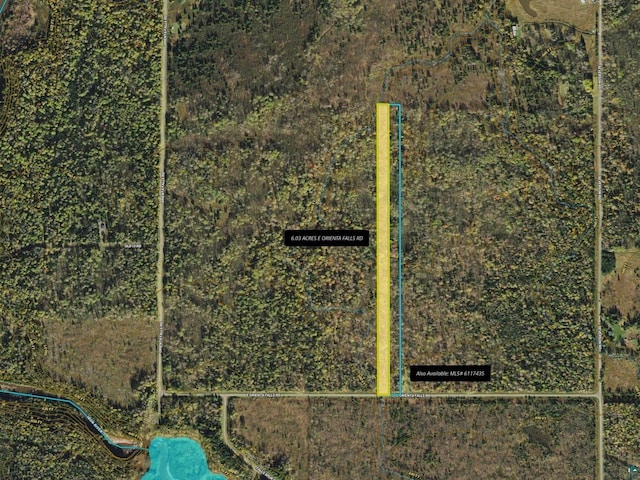 6.03ACRES E Orienta Falls Rd, Port Wing WI, 54865 land for sale