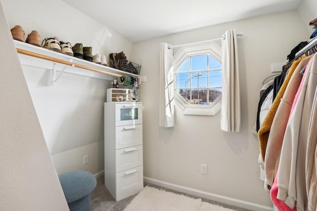 spacious closet with light carpet