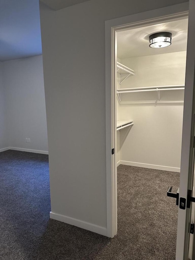 walk in closet with dark carpet