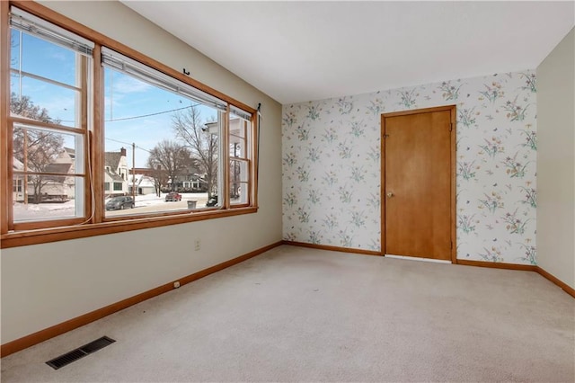 empty room featuring carpet