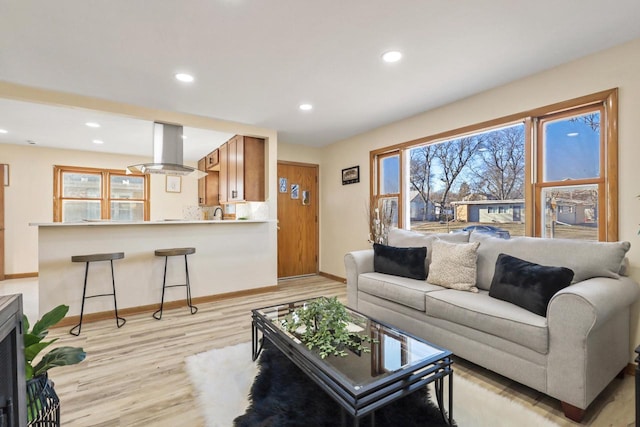 living room featuring light hardwood / wood-style floors