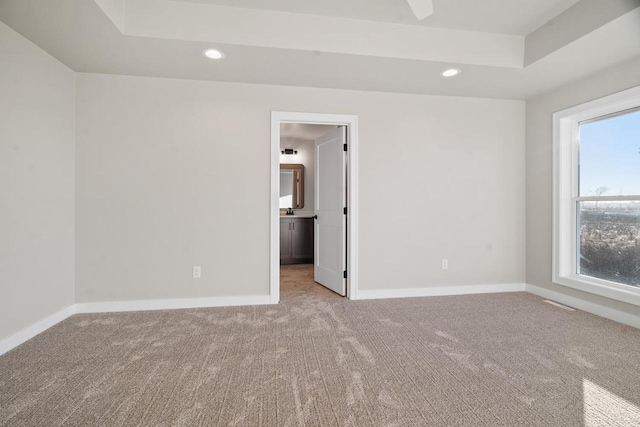 empty room featuring light colored carpet and a raised ceiling