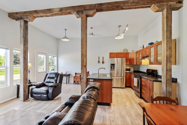 kitchen featuring decorative light fixtures, light hardwood / wood-style flooring, stainless steel appliances, and ornate columns