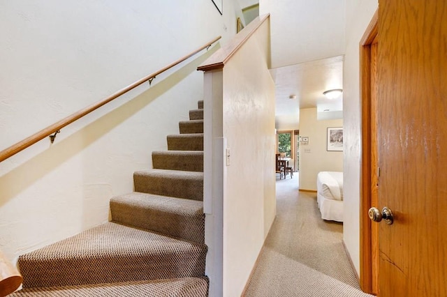 stairs featuring carpet