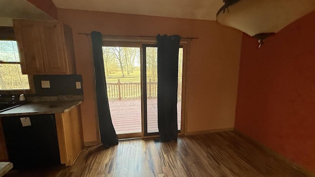 doorway with hardwood / wood-style floors