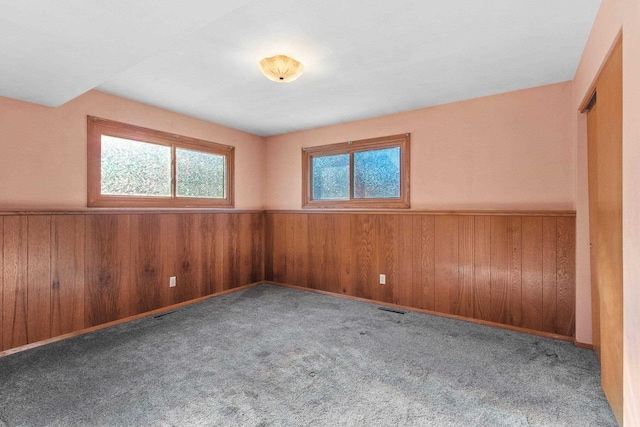 empty room featuring wooden walls and carpet flooring