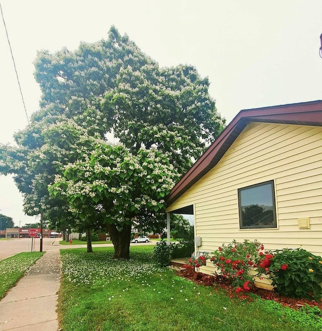 view of property exterior featuring a yard