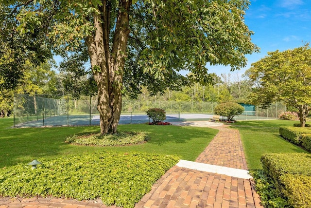 view of community featuring a yard and tennis court