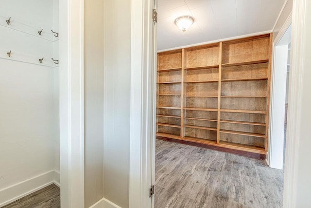 walk in closet featuring light wood-type flooring