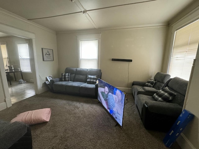 living room with carpet floors