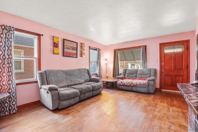 living room with wood-type flooring and plenty of natural light