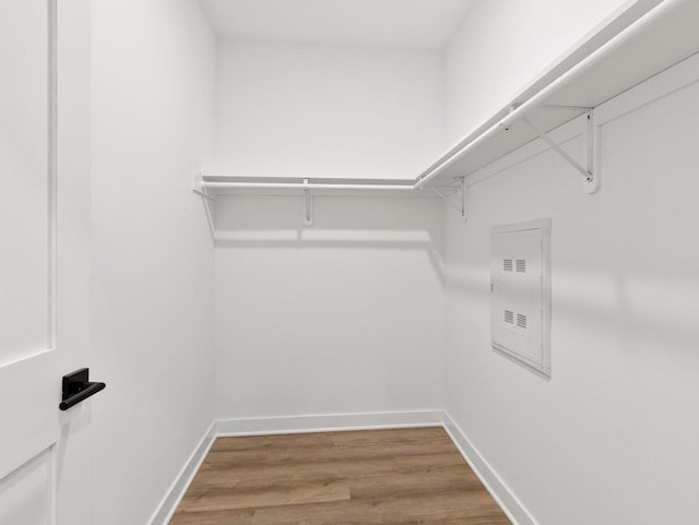 spacious closet with hardwood / wood-style flooring