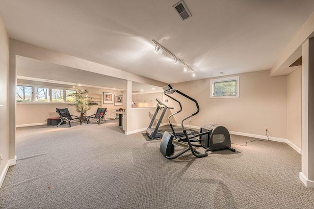 exercise room featuring track lighting and carpet flooring