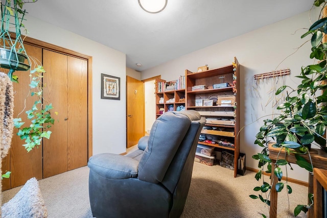 view of carpeted home office