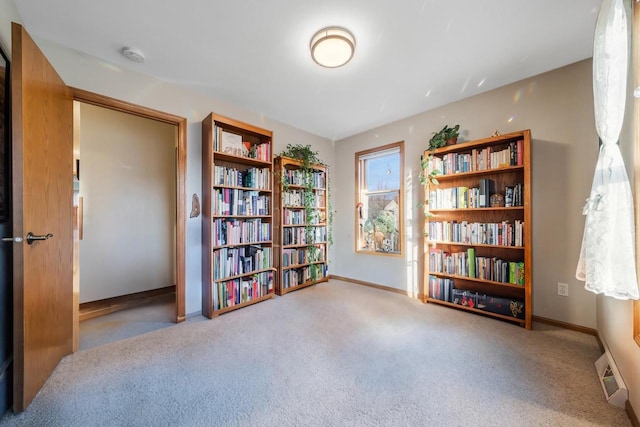 misc room with light colored carpet