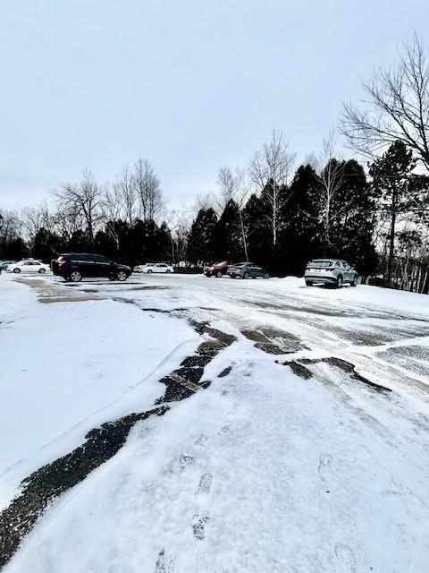 view of snowy yard