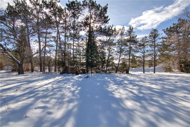 view of yard layered in snow