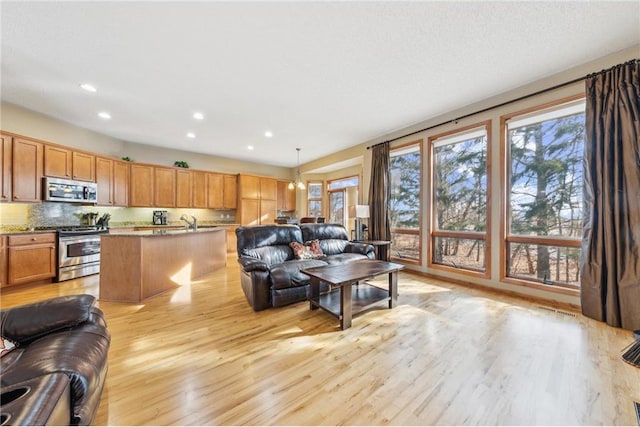 living room with light wood-type flooring