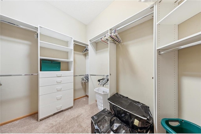 spacious closet featuring light colored carpet