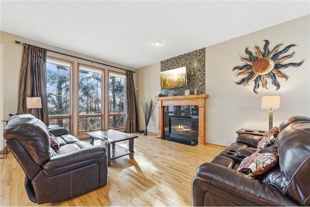 living room featuring a fireplace and light hardwood / wood-style floors