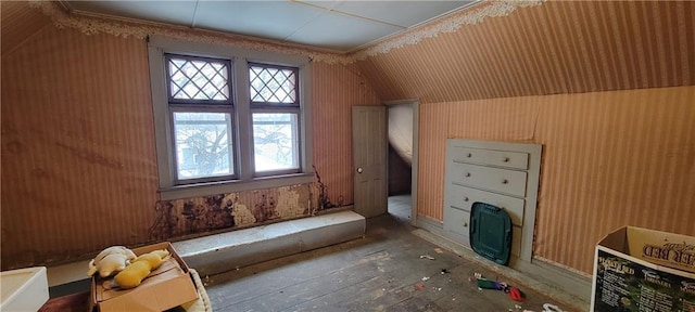 bonus room with vaulted ceiling