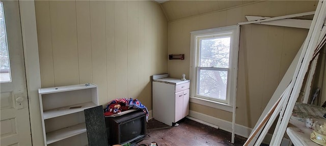 clothes washing area featuring wooden walls