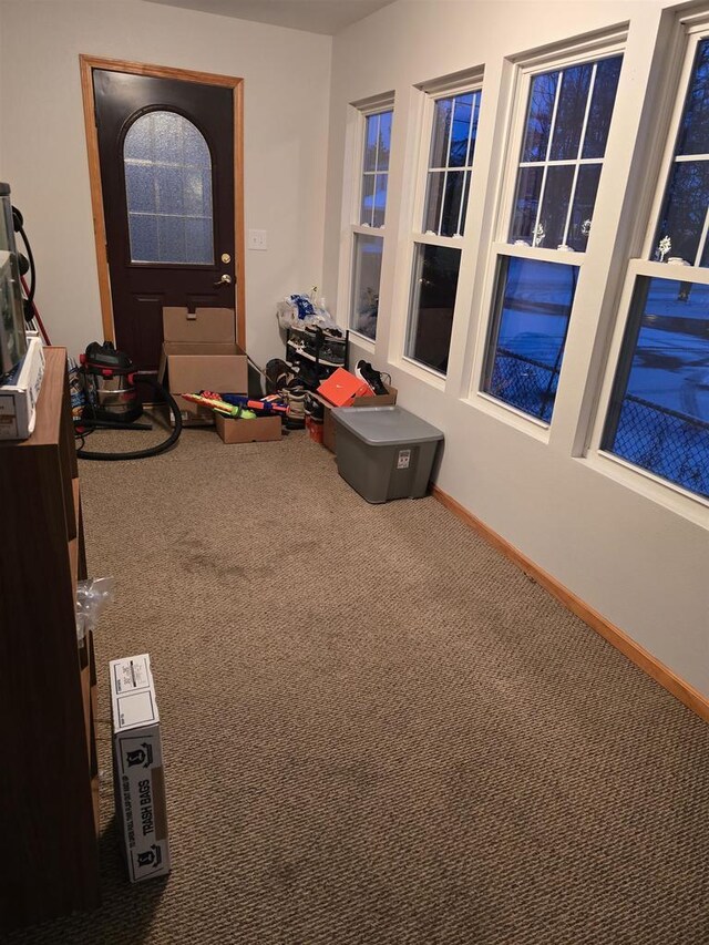 rec room with carpet