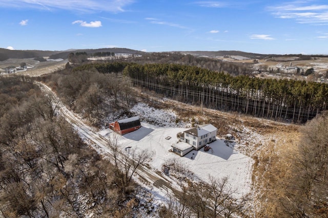 drone / aerial view featuring a mountain view