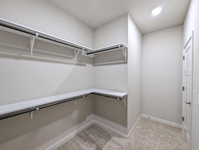 6839 Belle Fontaine Blvd, Middleton, WI 53562 - walk in closet with carpet flooring
