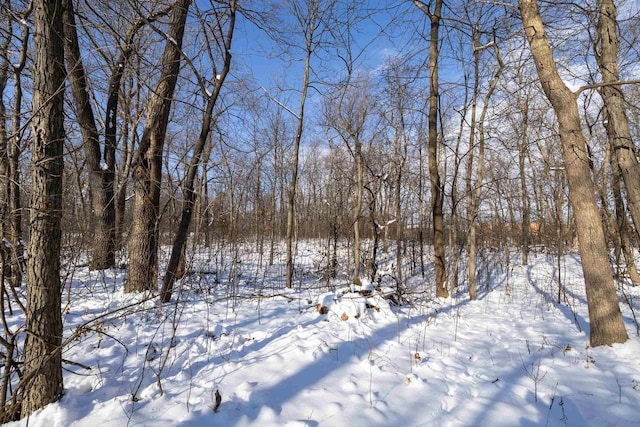 L36 Fox Hill Ln, Baraboo WI, 53913 land for sale